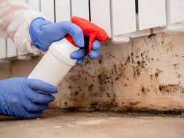 Environmental Consulting for Mold Prevention in Brandywine Bay, NC